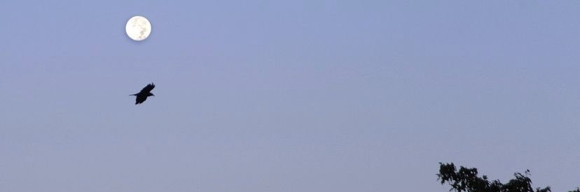 k3nddd's profile banner image