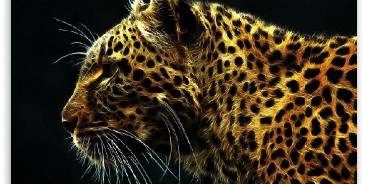 ErikaSoler's profile banner image
