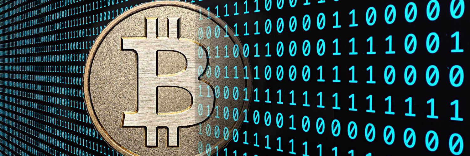 CryptoWoozy's profile banner image