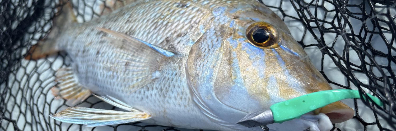 フィッシャーマンおちゃぴ🌺 banner