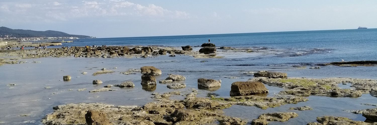olgacapone2's profile banner image
