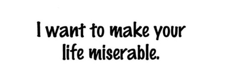 ley 𐔌՞. .՞𐦯 banner