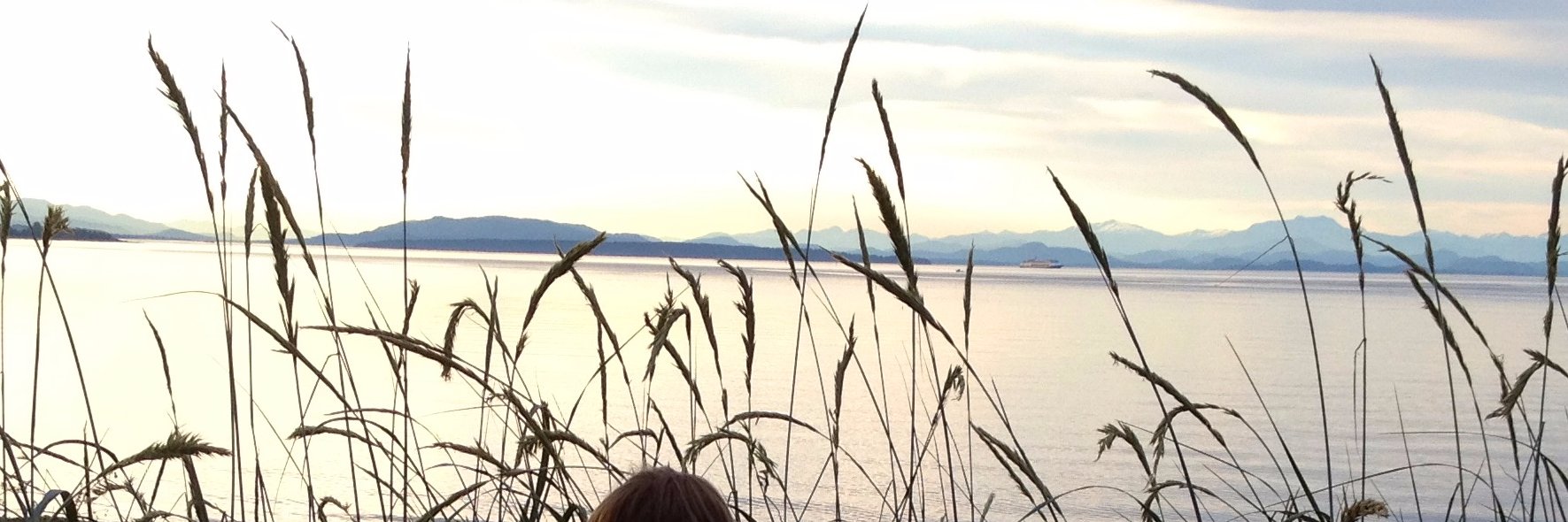 semmerson's profile banner image