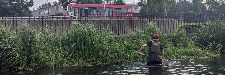 Seb 🌱🌿☘️🌱 banner