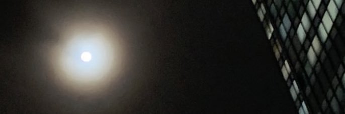 魔女の戯言 banner