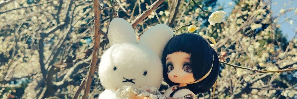 hikosuke2doll's profile banner image