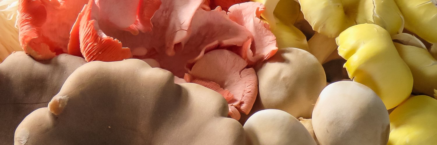 ワインと鍋 banner