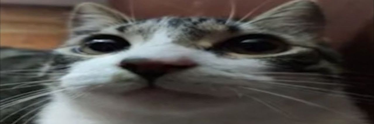 epicdeathlaser777_yt banner