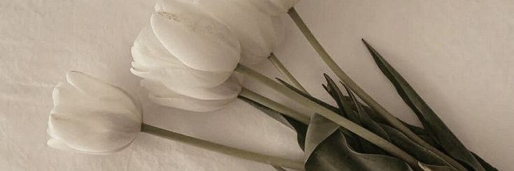 4th banner