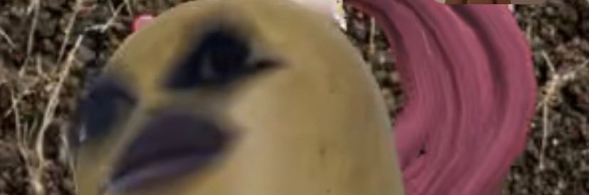 aylinhln's profile banner image