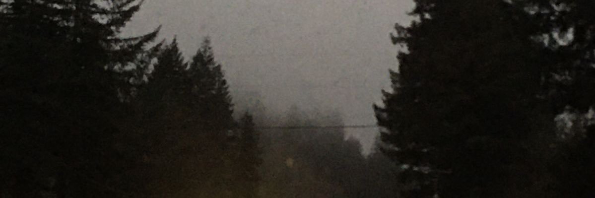 shall0w_grave_'s profile banner image