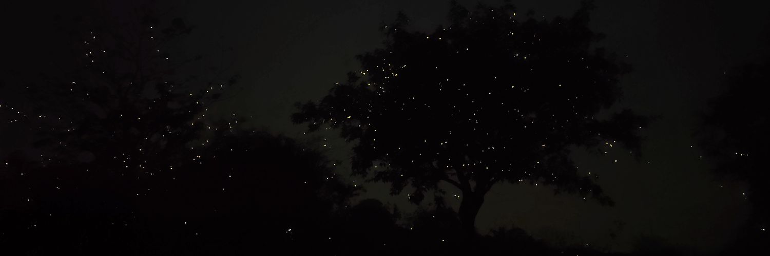 Abhijith Kuttanamkuzhi banner