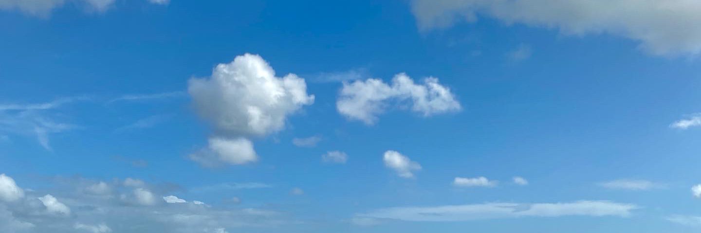 alinnamon's profile banner image