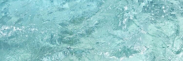 z banner