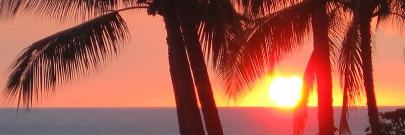 Michael Rawdon banner