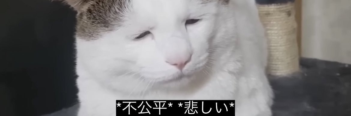 utsui_tp's profile banner image
