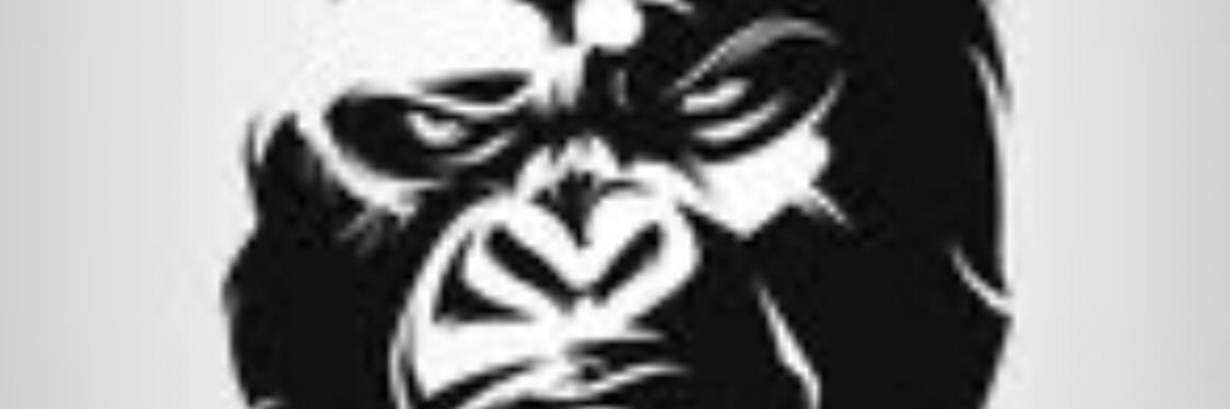 DicasCriptoBR's profile banner image