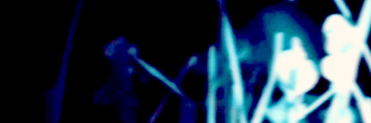 𝕃ยĆƗⓒ𝓭 banner