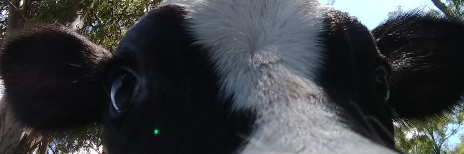 Andres14Bh's profile banner image