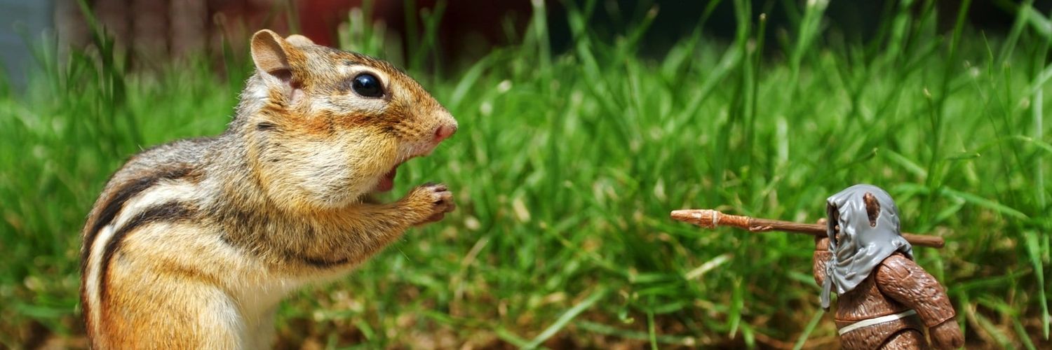NutsToYou banner