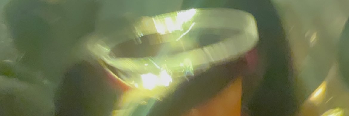 Summer Wright banner