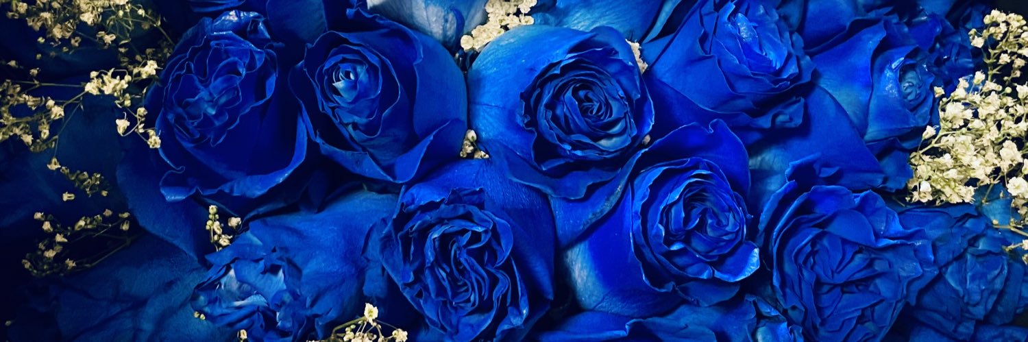 Pristina's profile banner image