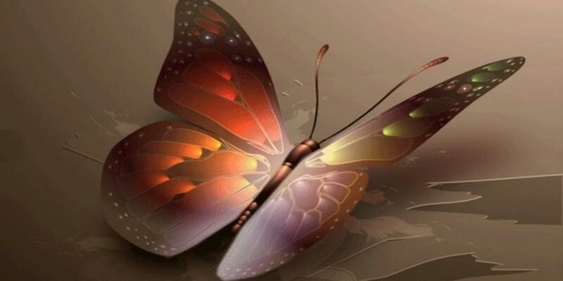 abdullahMQO's profile banner image