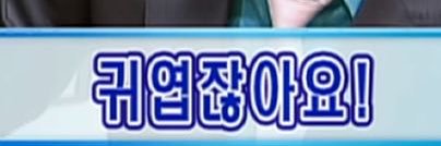 오꼬 banner