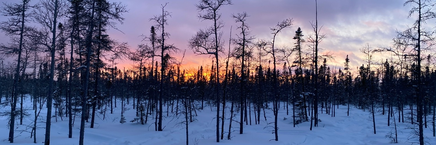 markhosek's profile banner image