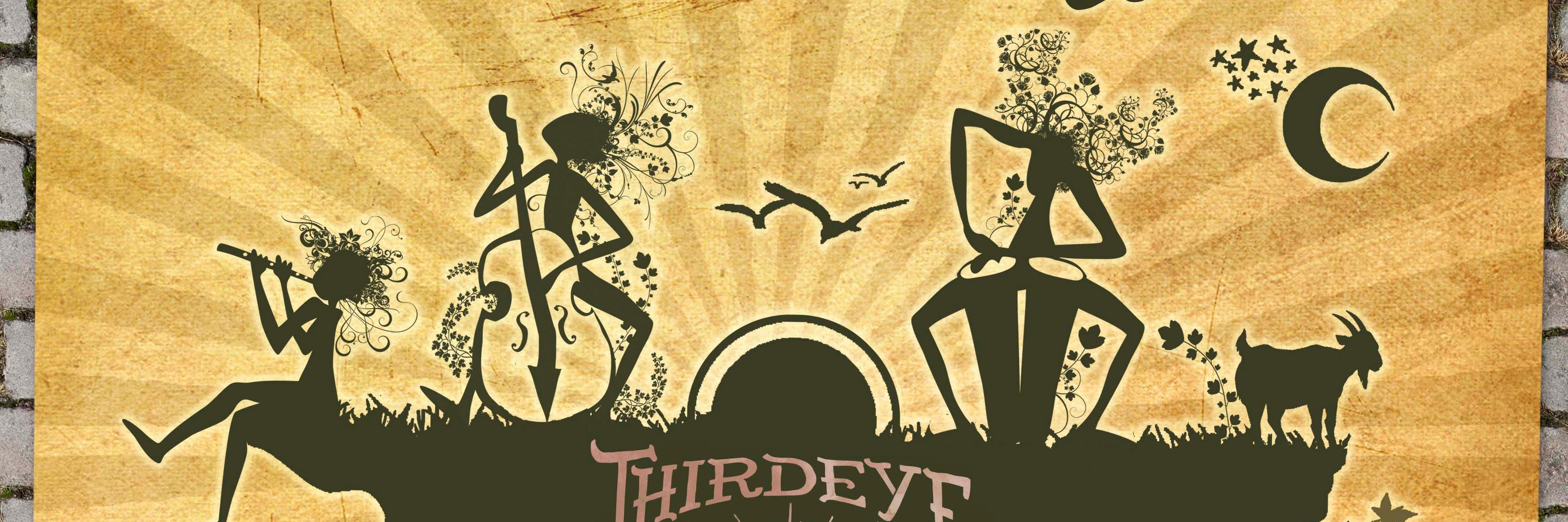 thirdeyecabaret's profile banner image