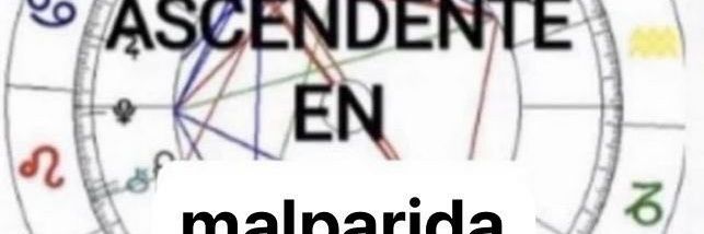 Quién poronga sos? Vio a David Guetta ✨❤️‍🩹 banner