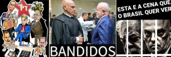 SHIRLAYNE CARVALHO🇧🇷🇮🇱🇺🇸 banner