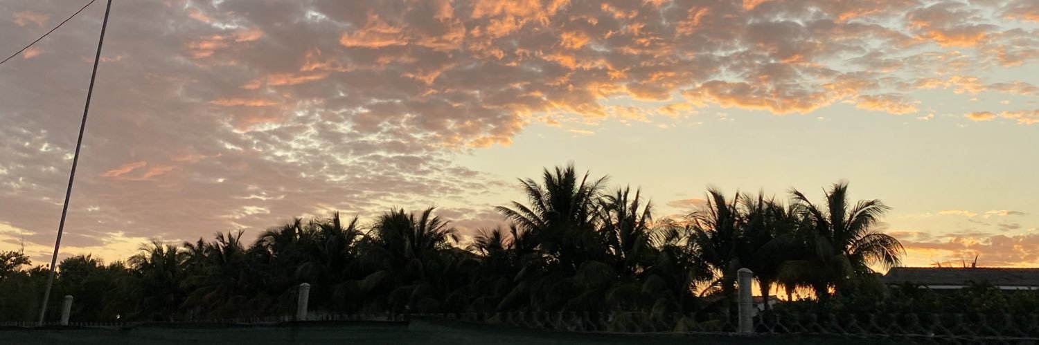 LisandroSaracho's profile banner image