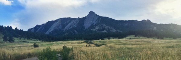 scammyjo Profile Banner