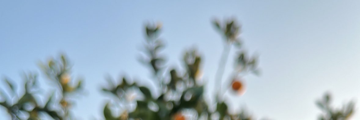 cg_lala4's profile banner image
