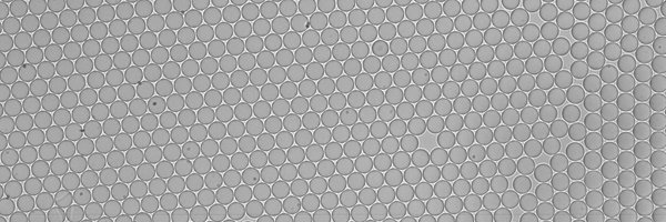 nicolas__sanson Profile Banner