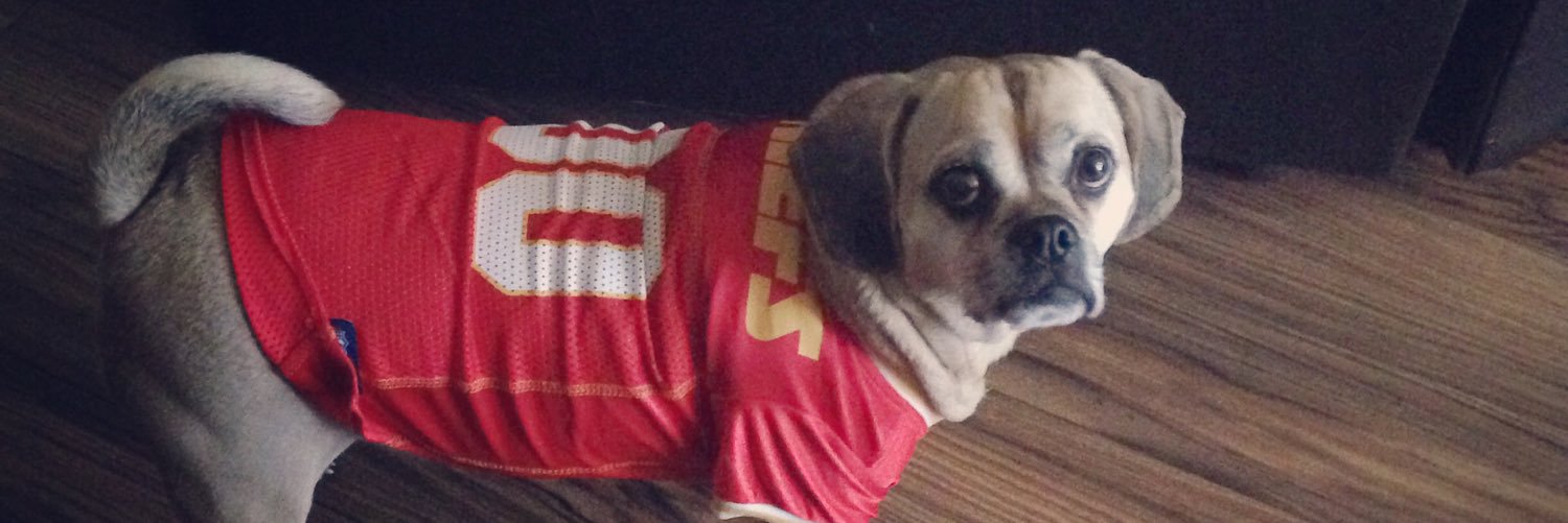 Puggle4KU's profile banner image