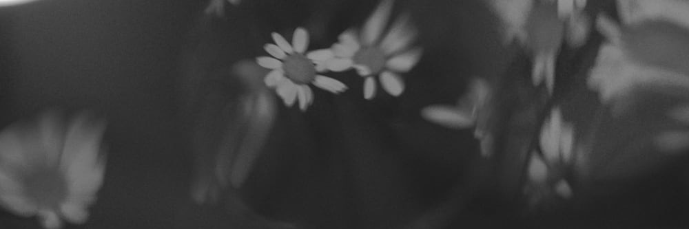 darya_dotsen's profile banner image