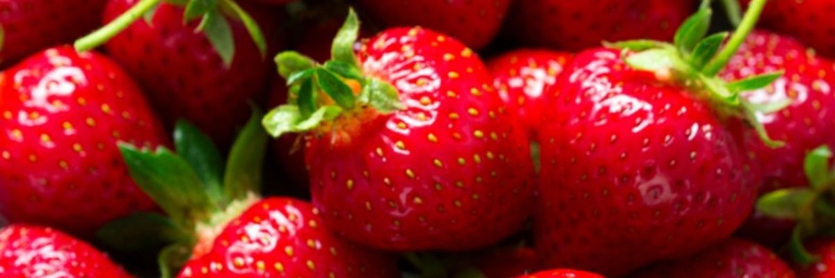 Strawberri banner