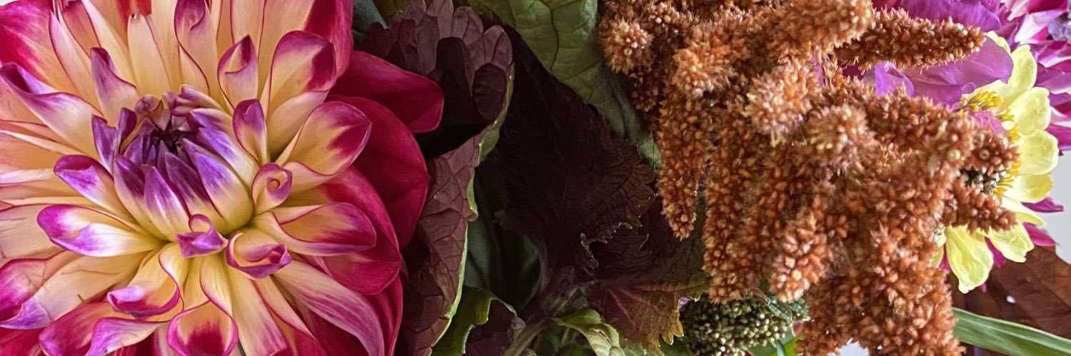 amykleinerman's profile banner image