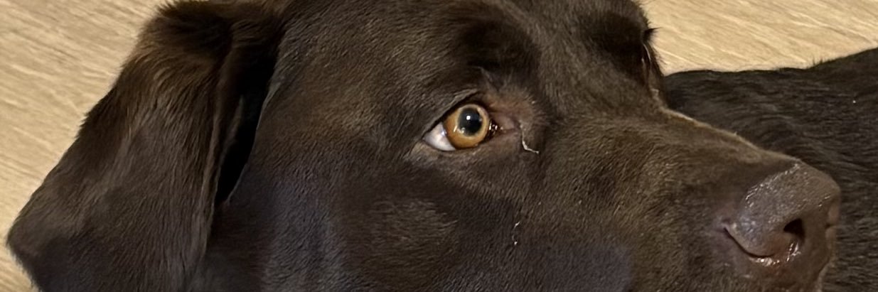 ElvisPTCB's profile banner image