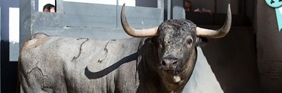 ELRITTERTORERO's profile banner image