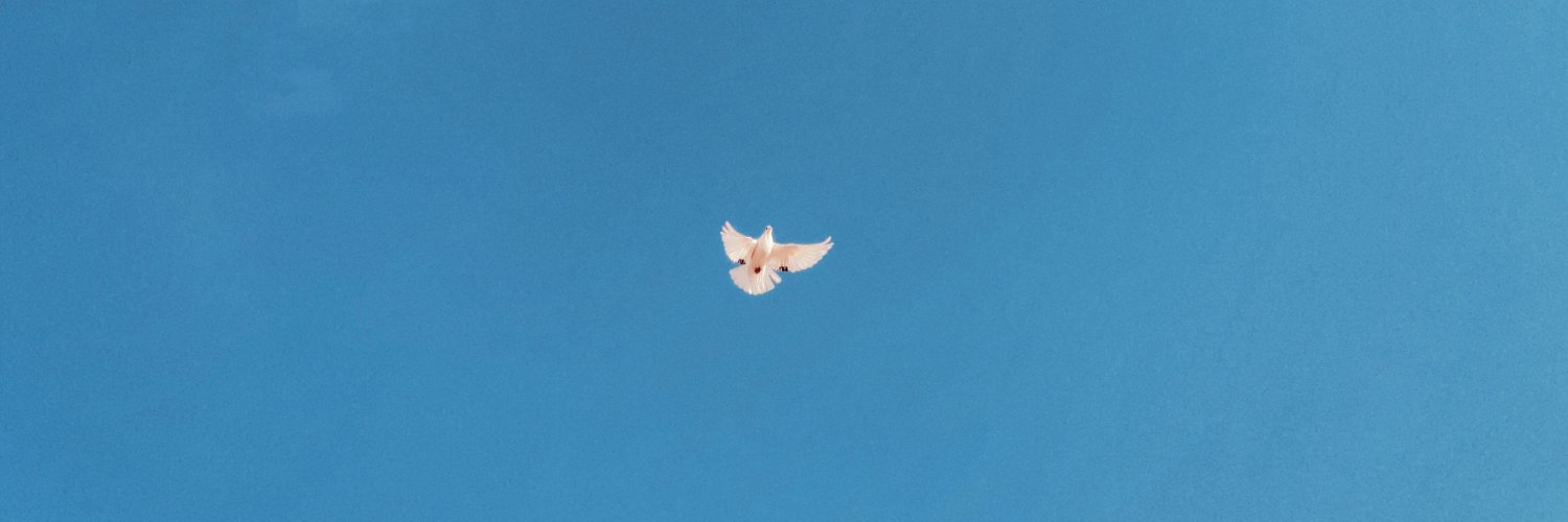ttaaammiinn's profile banner image