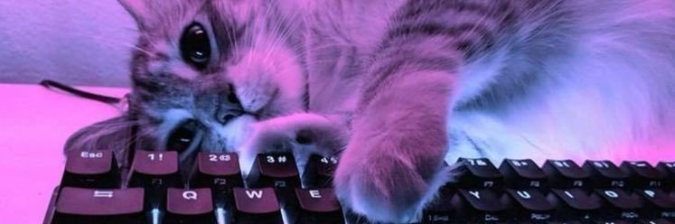 𝐓𝟐𝐑 𝐀𝐯𝐚𝐫𝐢𝐜𝐞 ʚїɞ banner