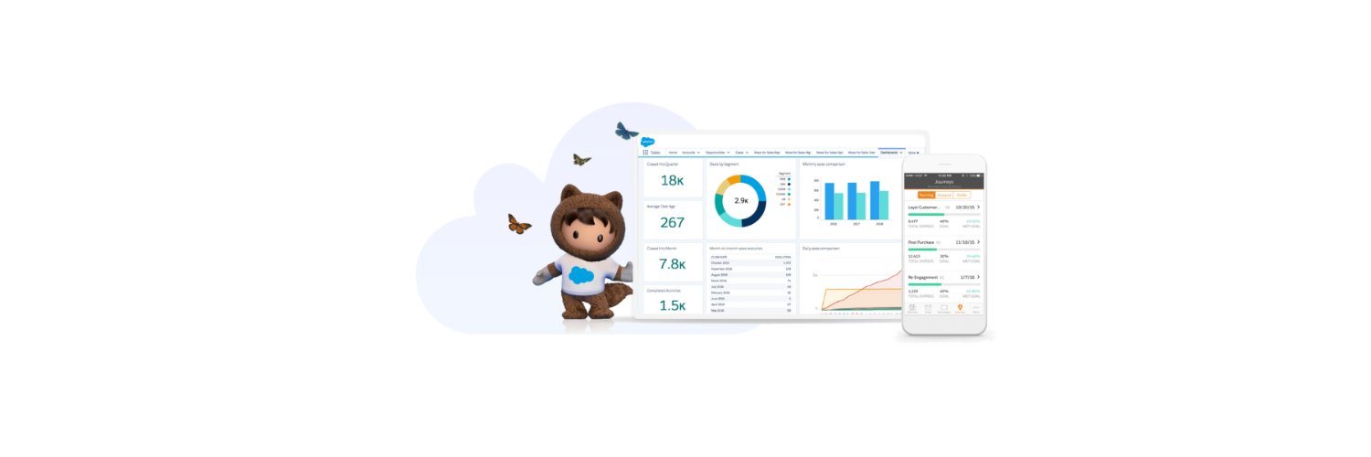 SalesforceBlog's profile banner image