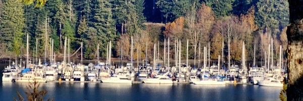 RoonieRoo2 Profile Banner