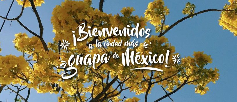 YoAmoGDL's profile banner image