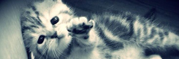 tanner!!🎬🌈 banner
