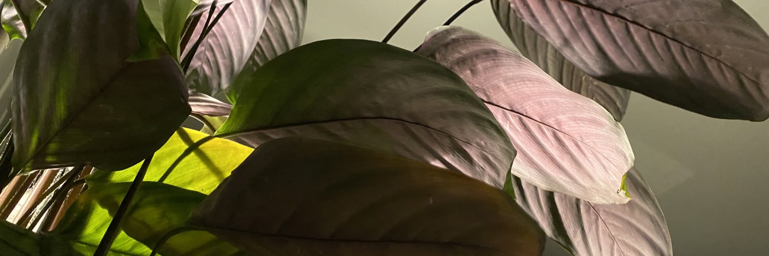 harriet3949's profile banner image