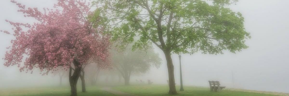 bobster_s's profile banner image